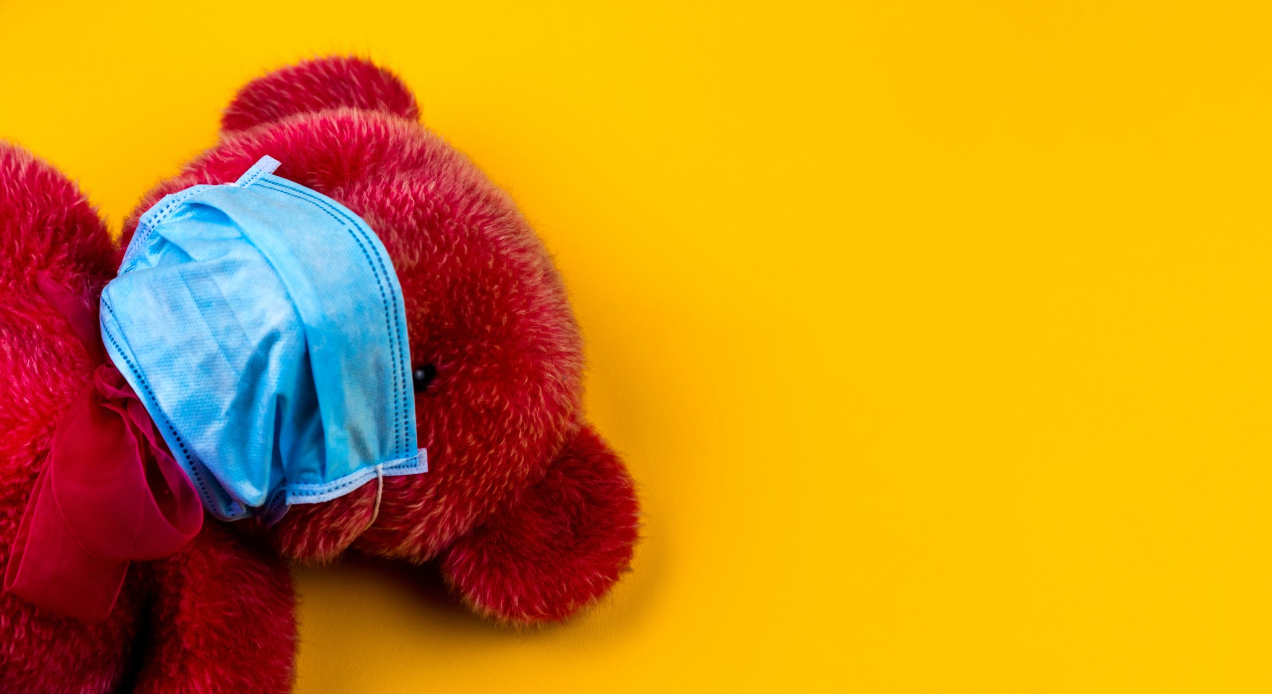 Teddy Bear with PPE Mask